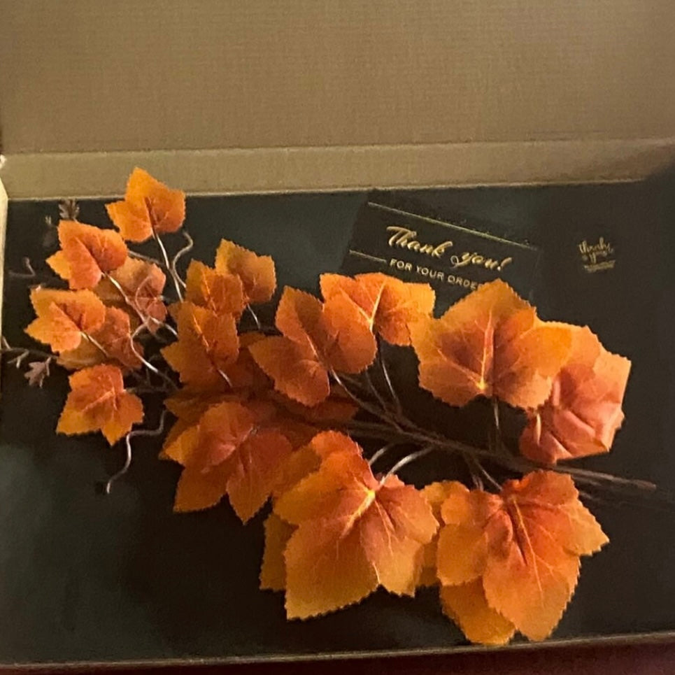 Autumn Leaf Stems | Autumn Tree Branches |