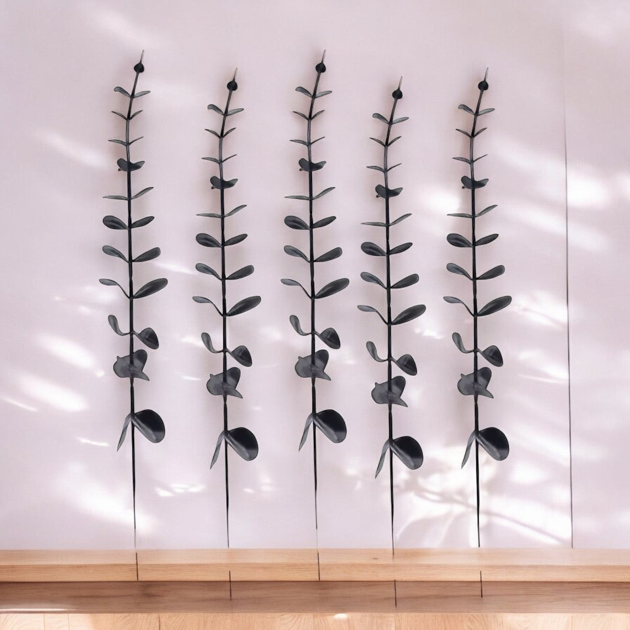 6 Pieces Of Black Eucalyptus Stems