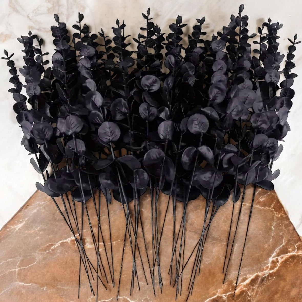 6 Pieces Of Black Eucalyptus Stems