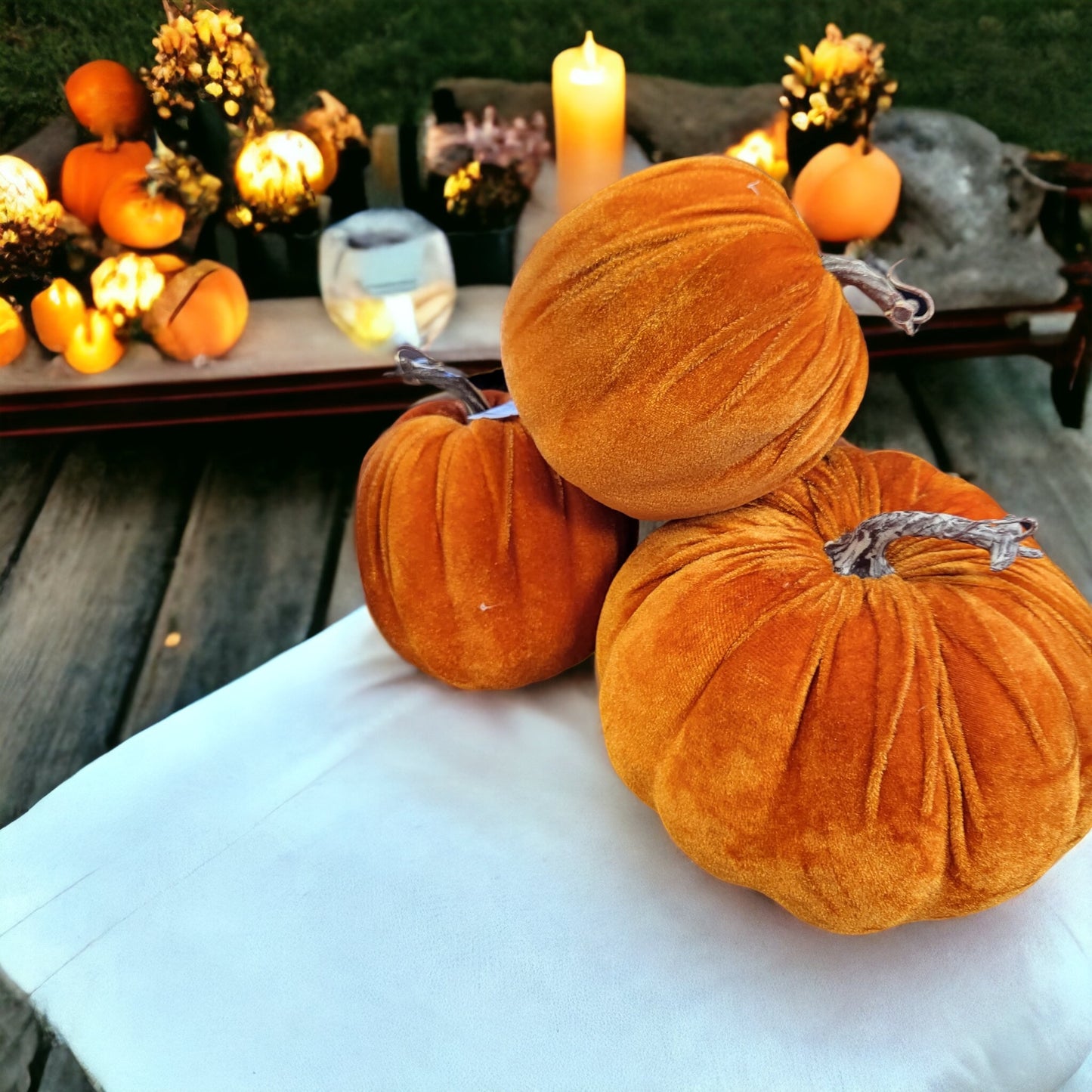 Velvet Pumpkins With Lights