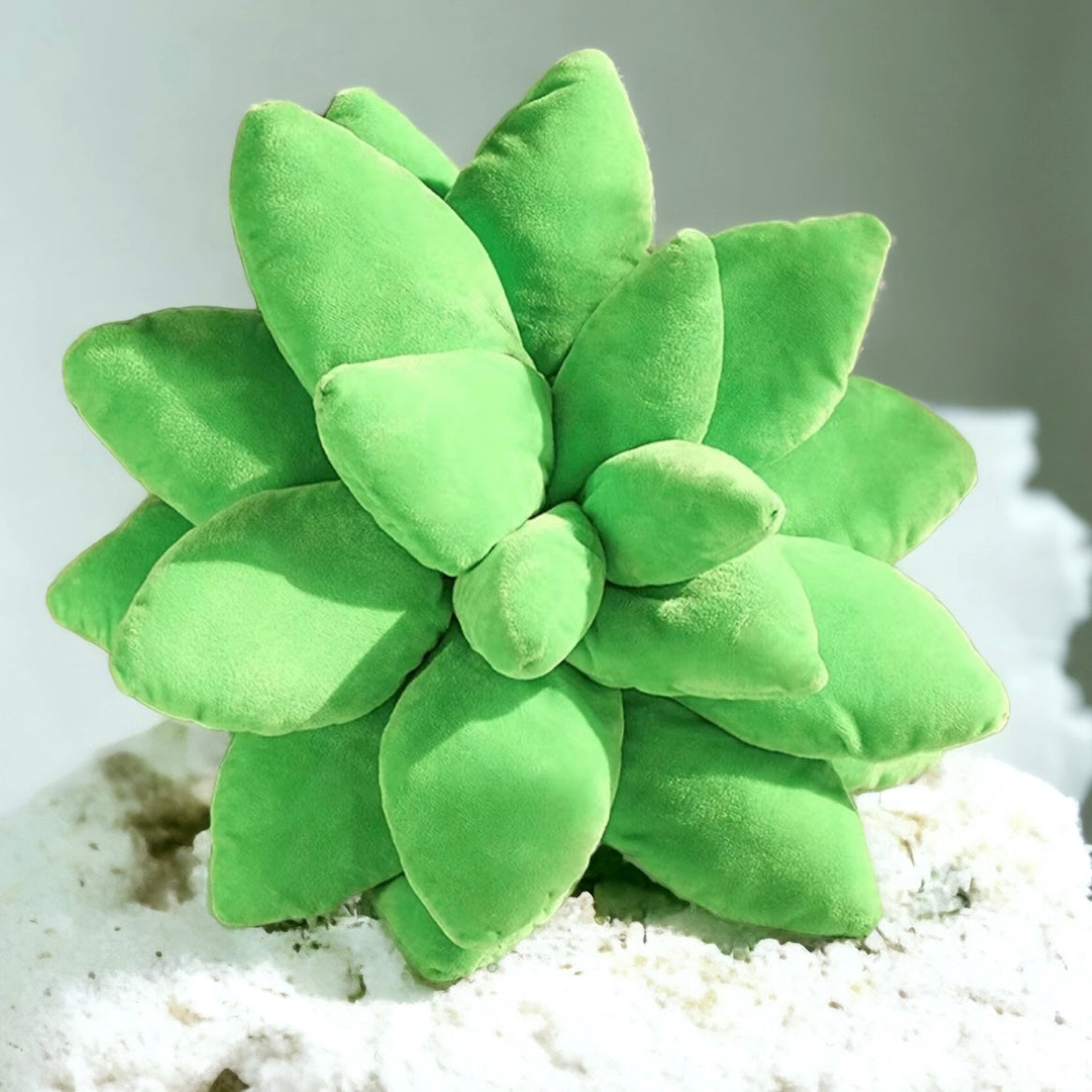 Plush Cactus Cushions