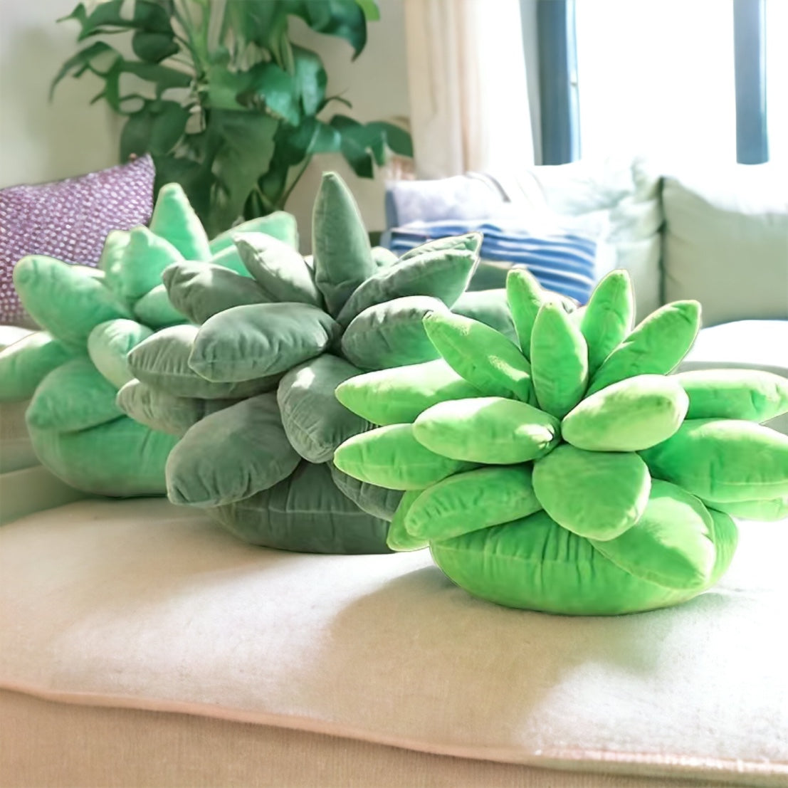Plush Cactus Cushions