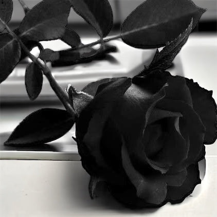 Luxury Set Of Black Synthetic Roses