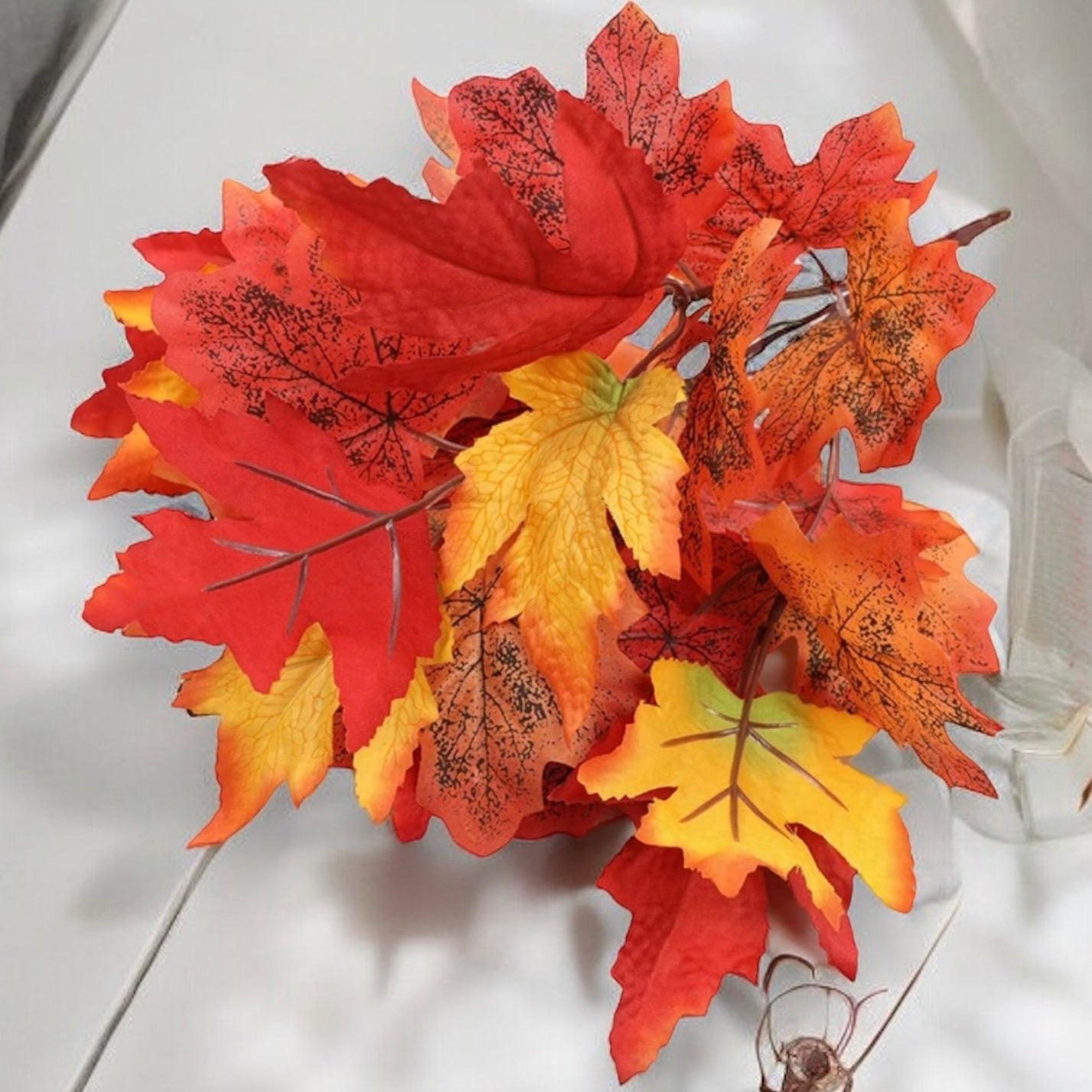 Autumn Maple Leaf Branches
