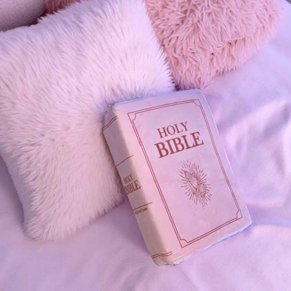 Plush Bible Cuddle Cushion