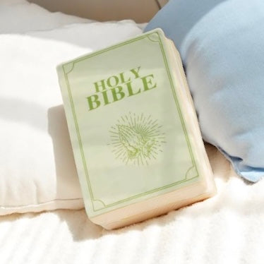 Plush Bible Cuddle Cushion