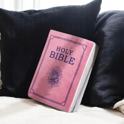 Plush Bible Cuddle Cushion