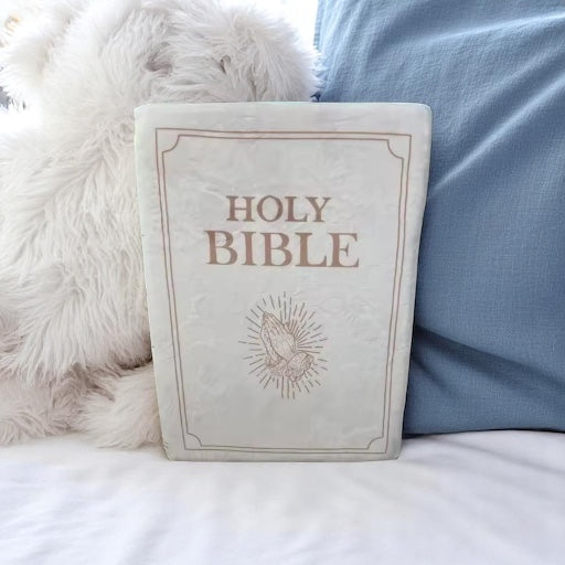 Plush Bible Cuddle Cushion