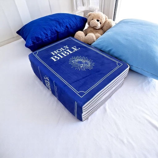 Plush Bible Cuddle Cushion