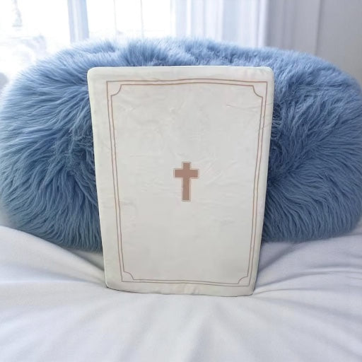 Plush Bible Cuddle Cushion