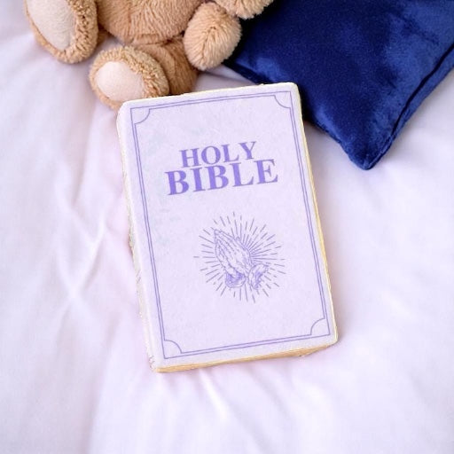 Plush Bible Cuddle Cushion