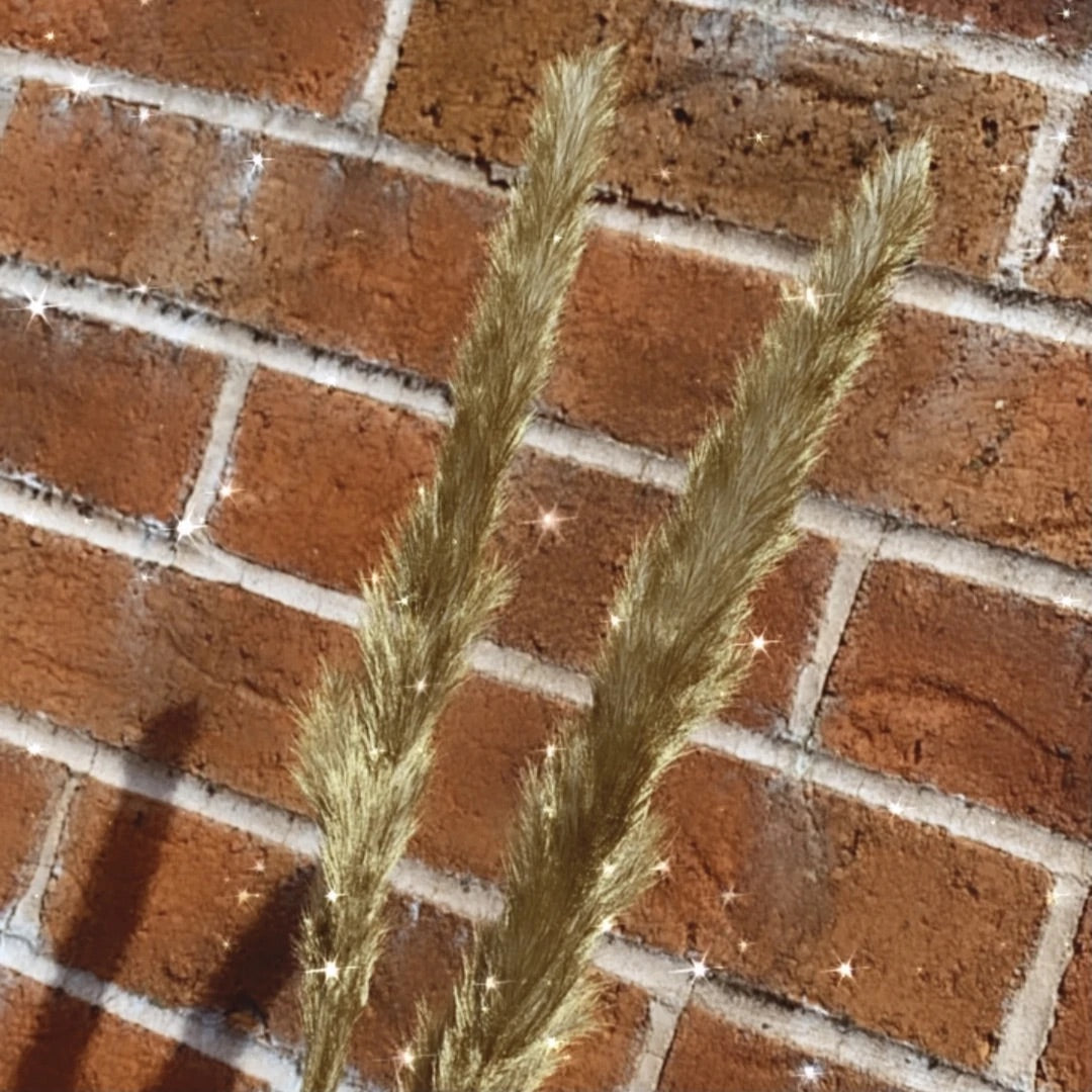 Luxury Gold Palm Spear & Gold Pampas Cake Topper