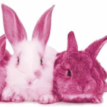 Pink βππͺπ·ππ ππ΅πΈπΌπΌβ Fluffy Pampas Bunny Tails - Pretty Little Presents