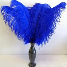 Royal Navy Blue Ostrich Feathers | Large Light Blue Feathers |