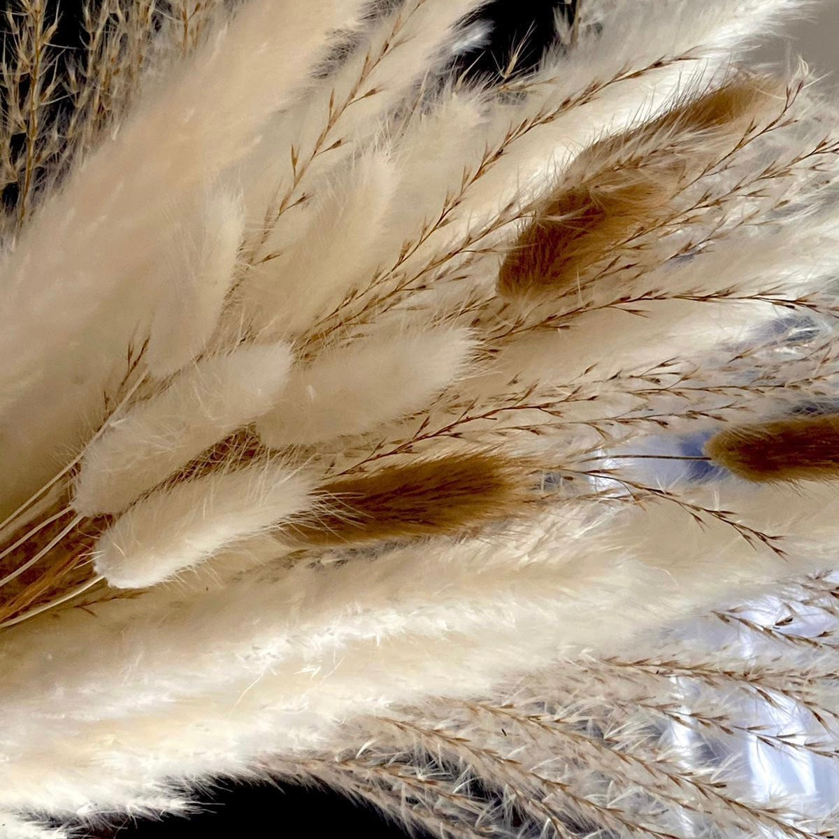 Natural Tone โ๐๐ฑ๐ธ๐ฎ๐ซ๐ฎโ Mixed Pampas Bunny Tails