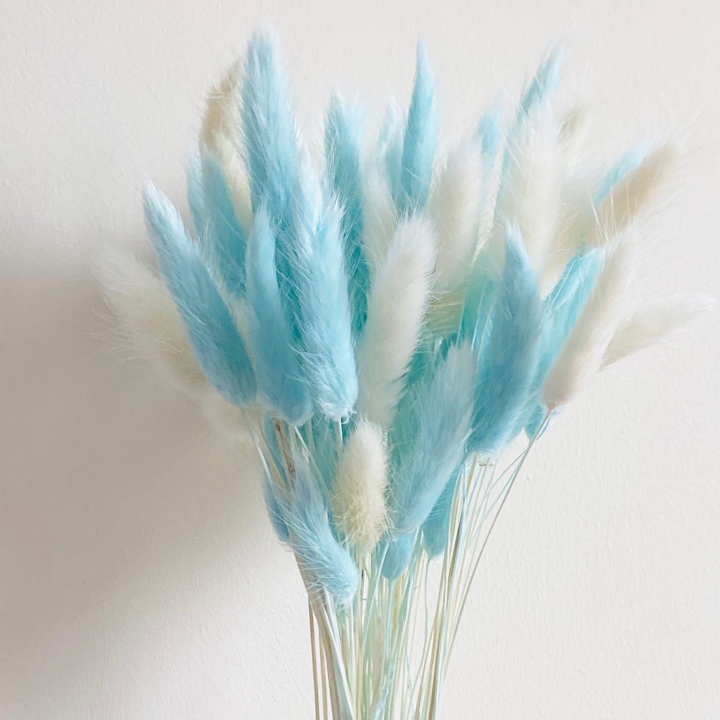 Fluffy โ๐ฃ๐ฒ๐ฏ๐ฏ๐ช๐ท๐โ Mixed Pampas & Bunny Tails
