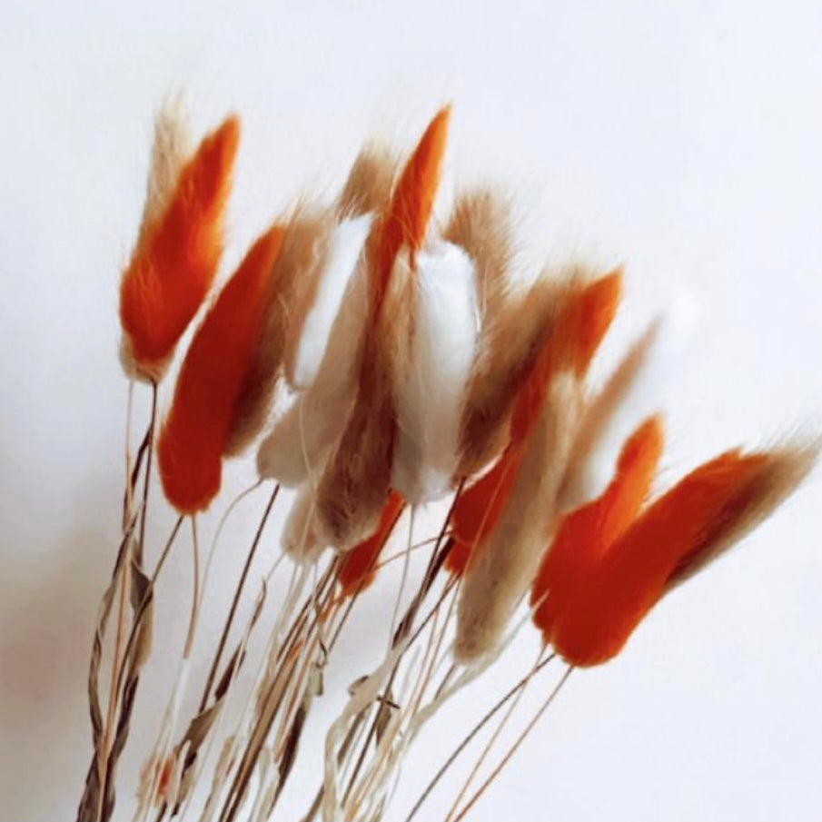 Fluffy AUTUMN Mixed Pampas Bunny Tails