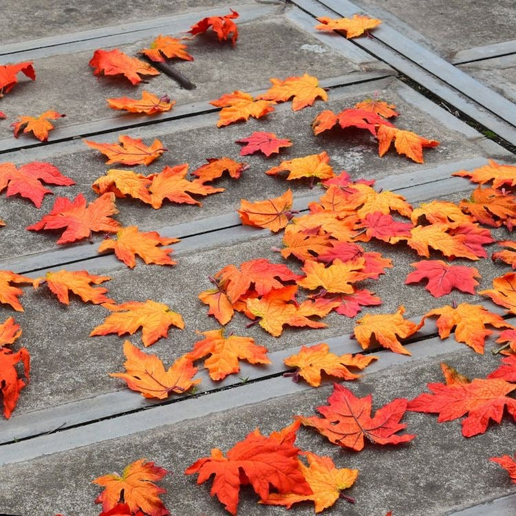 Fall Autumn Leaves Mixed Colours Decor