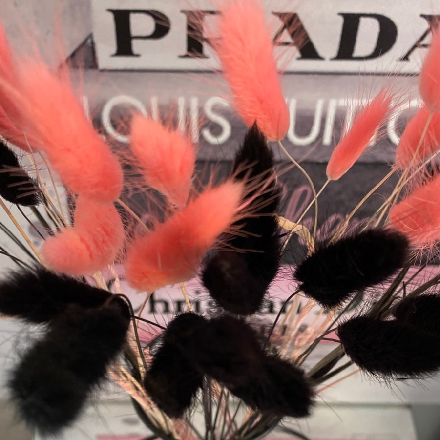 Bright โ๐ข๐พ๐ถ๐ถ๐ฎ๐ปโ Vibe Mixed Pampas Bunny Tails