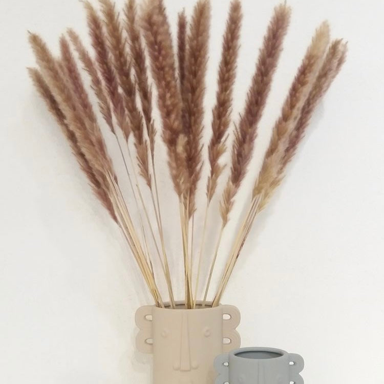 Natural Pampas Brown β ππΈπ¬πΈβ Grass Stems