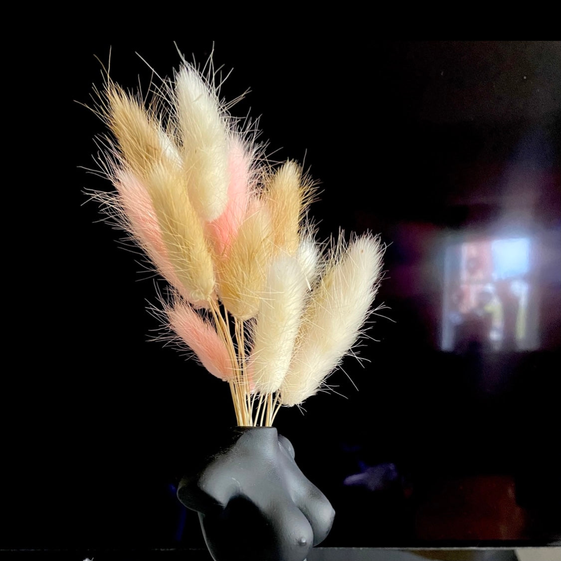 Cute โ ๐๐ช๐ท๐ญ๐ฒโ Mixed Pampas Bunny Tails