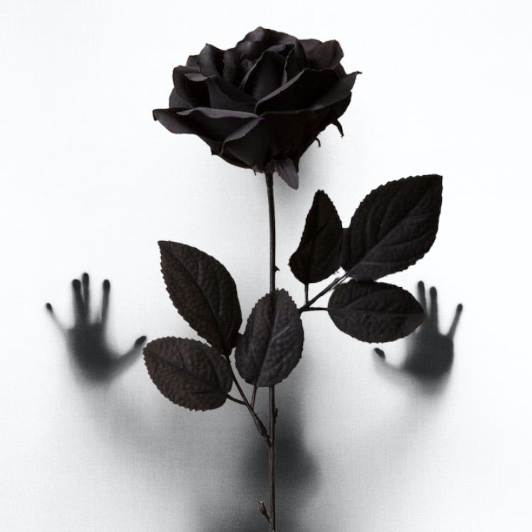 Luxury Set Of Black Synthetic Roses