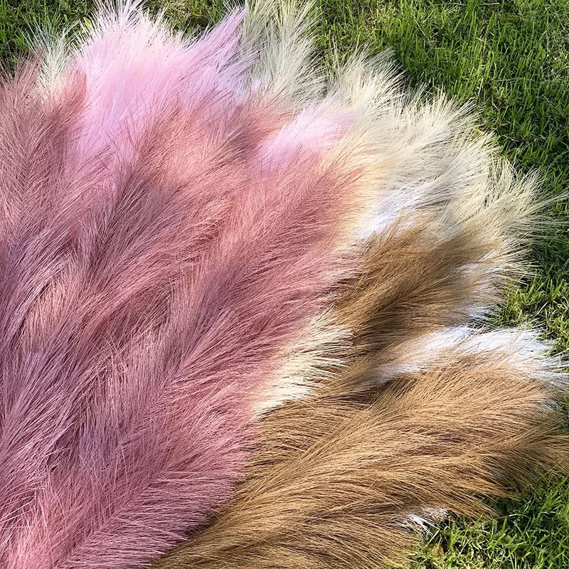 Fluffy βππͺπΎπβ Pampas Stems