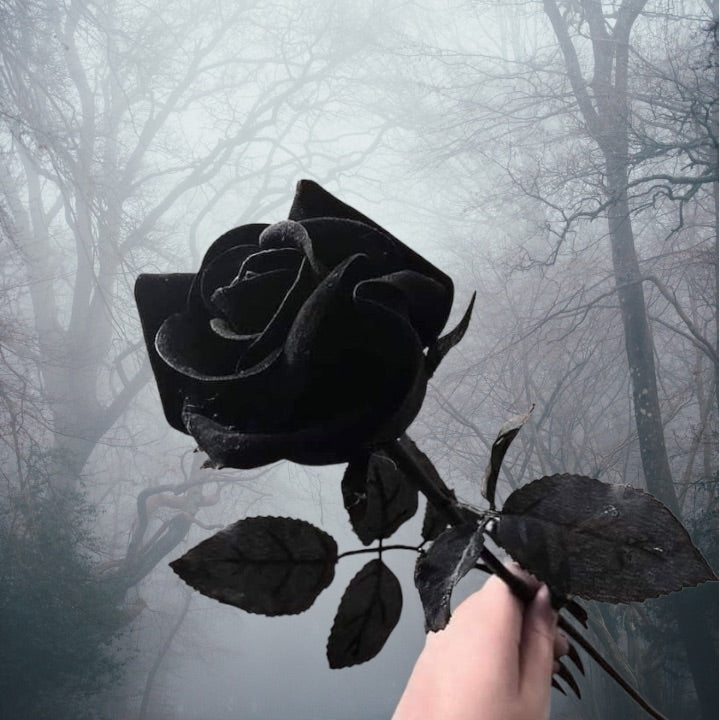 Luxury Set Of Black Synthetic Roses