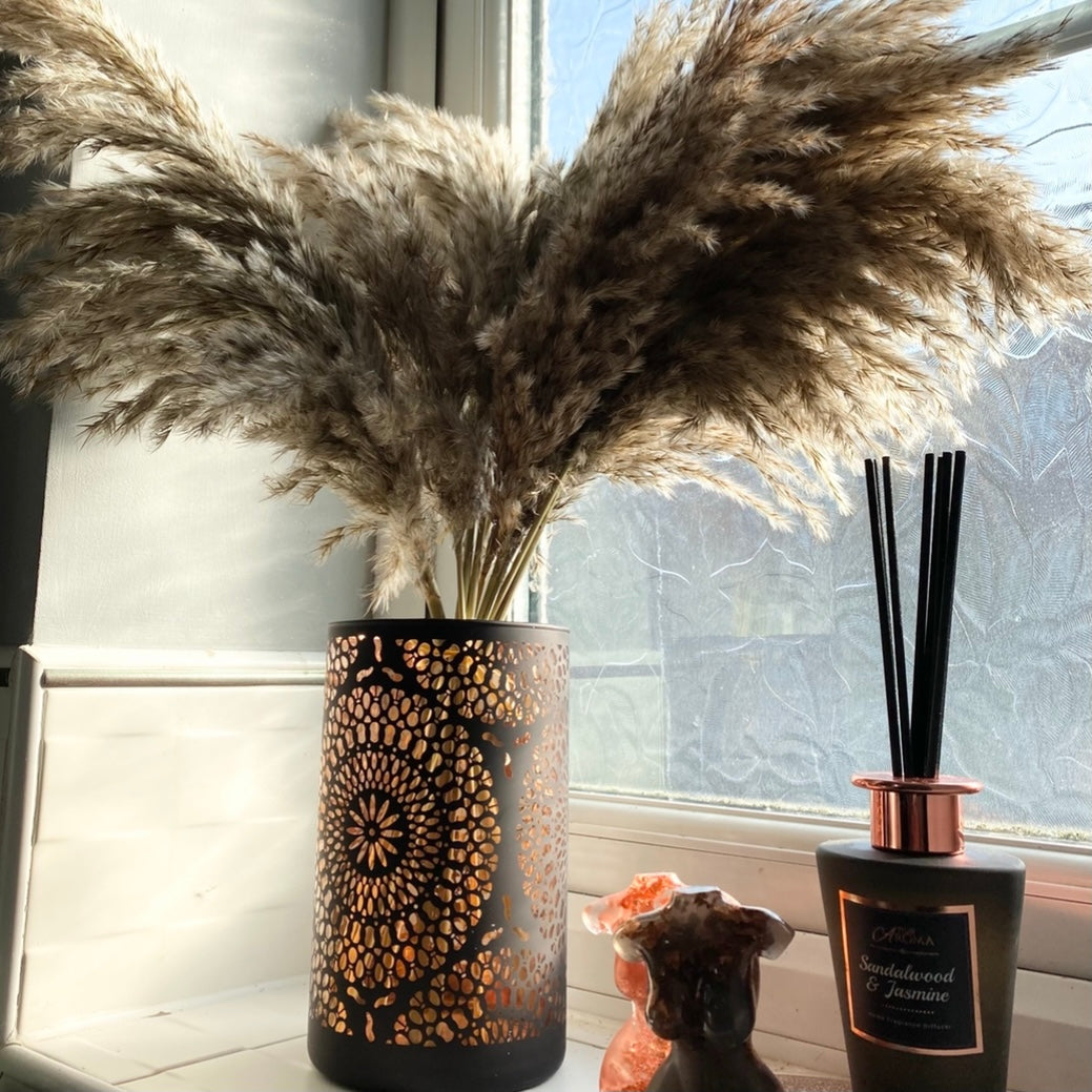 Natural Pampas βπ‘πΎπ²β Raw Fluffy Stems