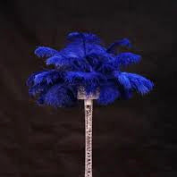 Royal Navy Blue Ostrich Feathers | Large Light Blue Feathers |