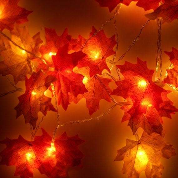 Autumn Maple Leaf Luxury MIA Lights