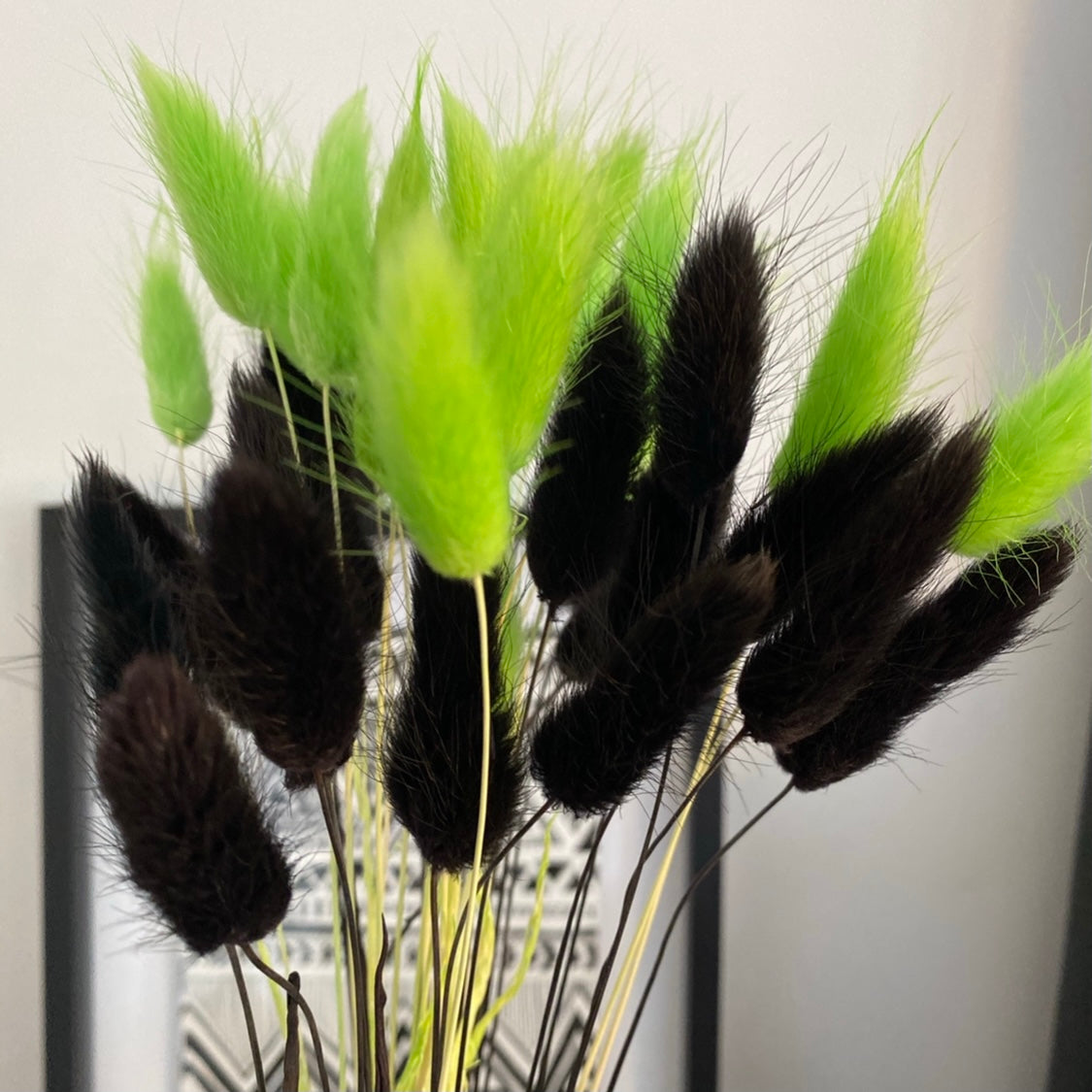 Bright โ๐๐ฎ๐ผ๐ฝ๐ฒ๐ฟ๐ช๐ตโ Style Mixed Pampas Bunny Tails