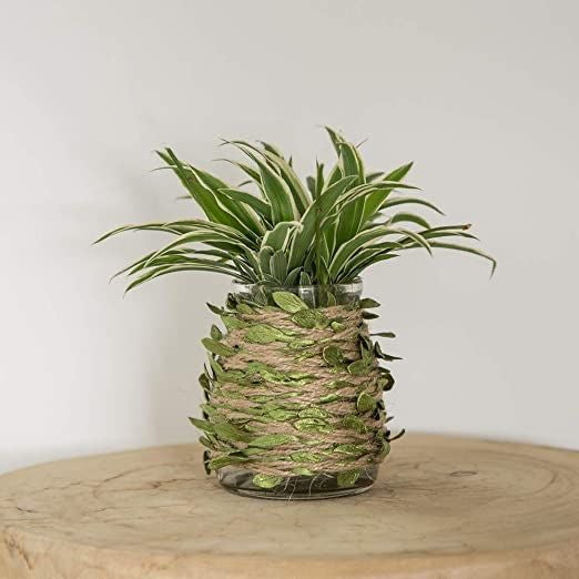 Braided Jute | Green Leaf Vine