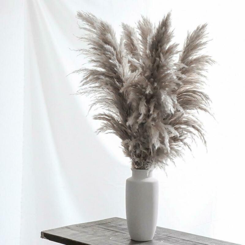 Natural Pampas β ππ²π·πͺβ Grey Fluffy Stems