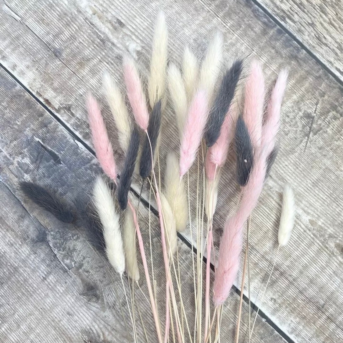 Fluffy โ ๐๐ป๐ช๐ซ๐ฎ๐ต๐ต๐ชโ Mixed Bunny Tails