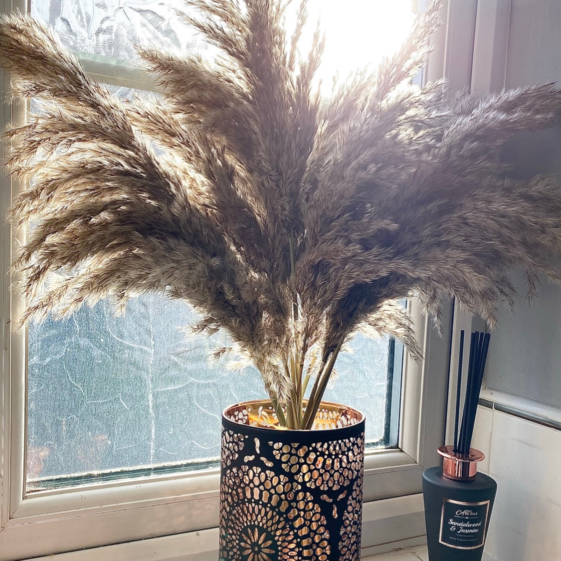 Natural Pampas βπ‘πΎπ²β Raw Fluffy Stems