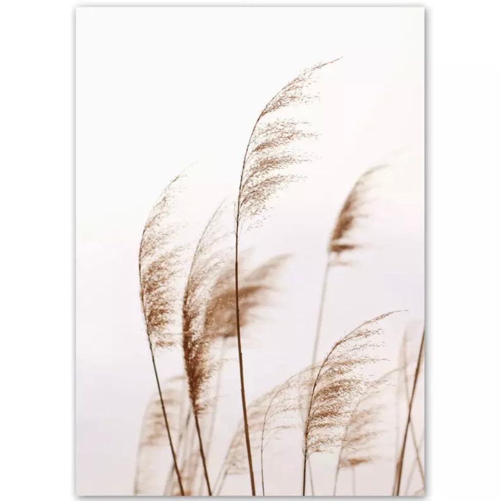 Luxury 'πππ»π²πͺπ·πͺ' Canvas Art Collection
