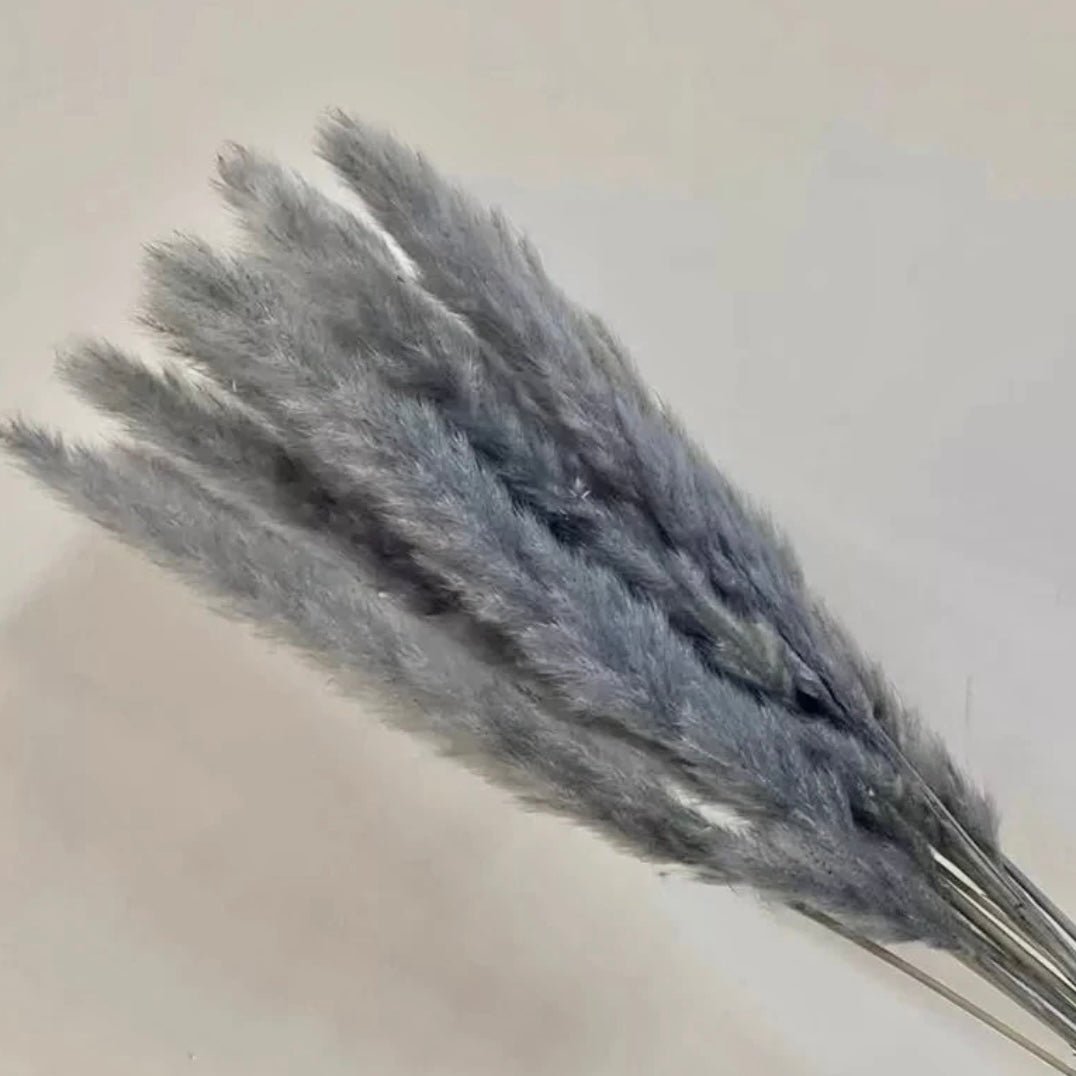 Extra Large Plumes 'ππΈπ΅π΅π' Bouquet