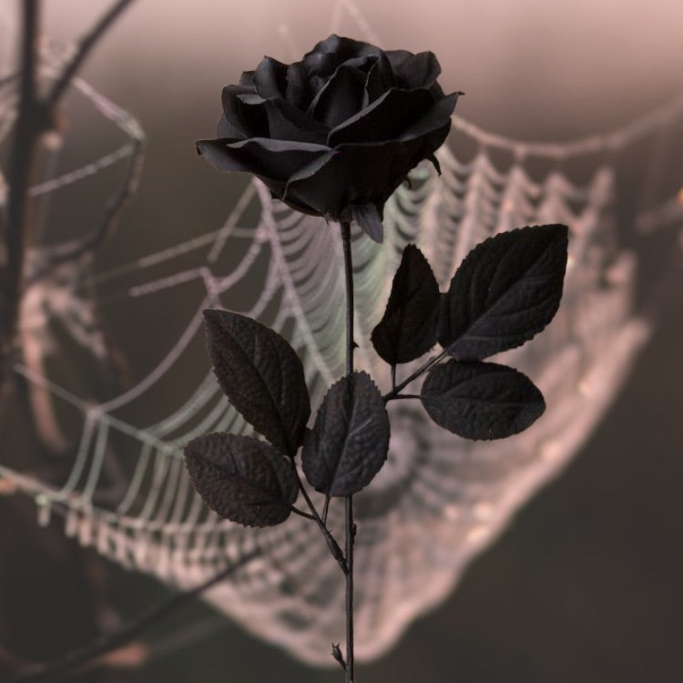 Luxury Set Of Black Synthetic Roses
