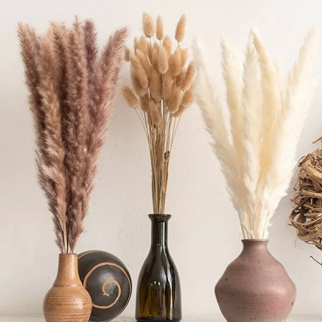 Medium โ๐ฃ๐ฒ๐ท๐ด๐ฎ๐ป๐ซ๐ฎ๐ต๐ต๐ฎโ Pampas Bouquet