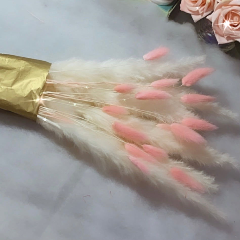 Mixed Bunny Tails & Pampas Stem ββ AURORA β Bouquet