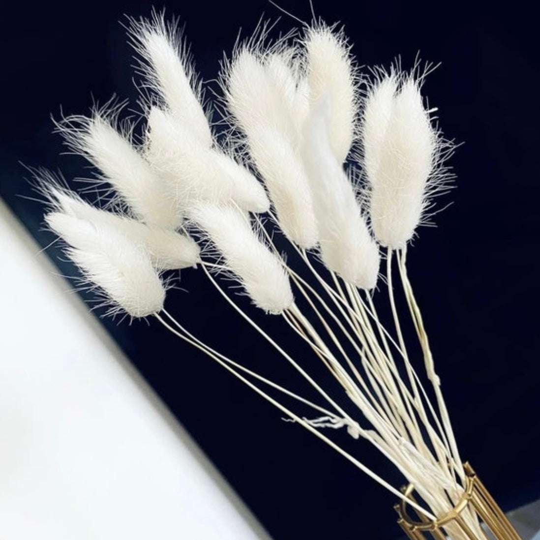 Spring Bunny Tails | Easter Dried Flowers