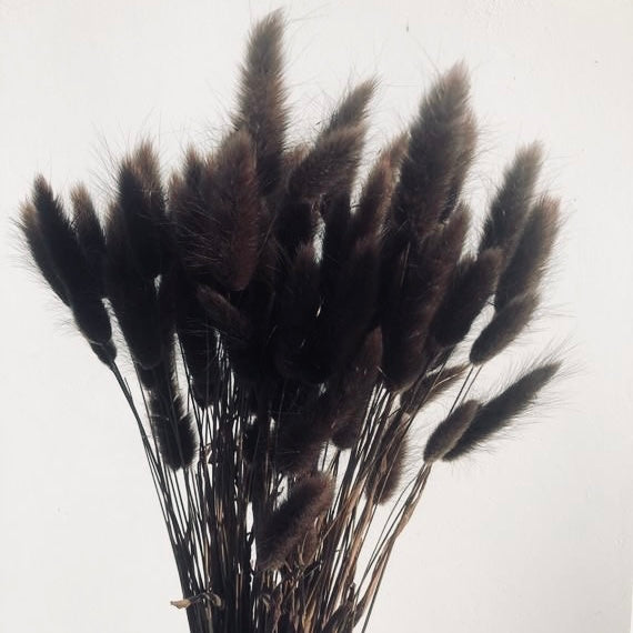 Fluffy โ ๐๐ต๐ช๐ฌ๐ด ๐๐ฎ๐ช๐พ๐ฝ๐โ Pampas Bunny Tails