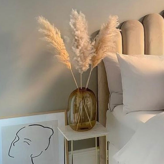 Posh βπ’π½πΈπ»πΆπ²β Pampas ~ Natural Fluffy Plumes