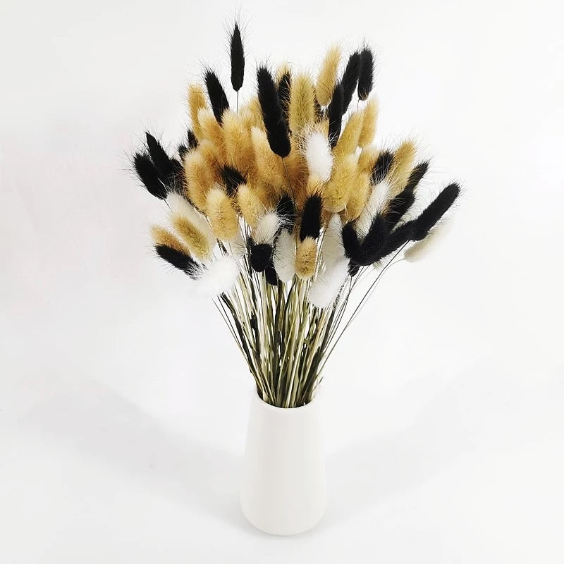 Fluffy โ๐๐ธ๐ต๐ต๐โ Mixed Pampas Bunny Tails