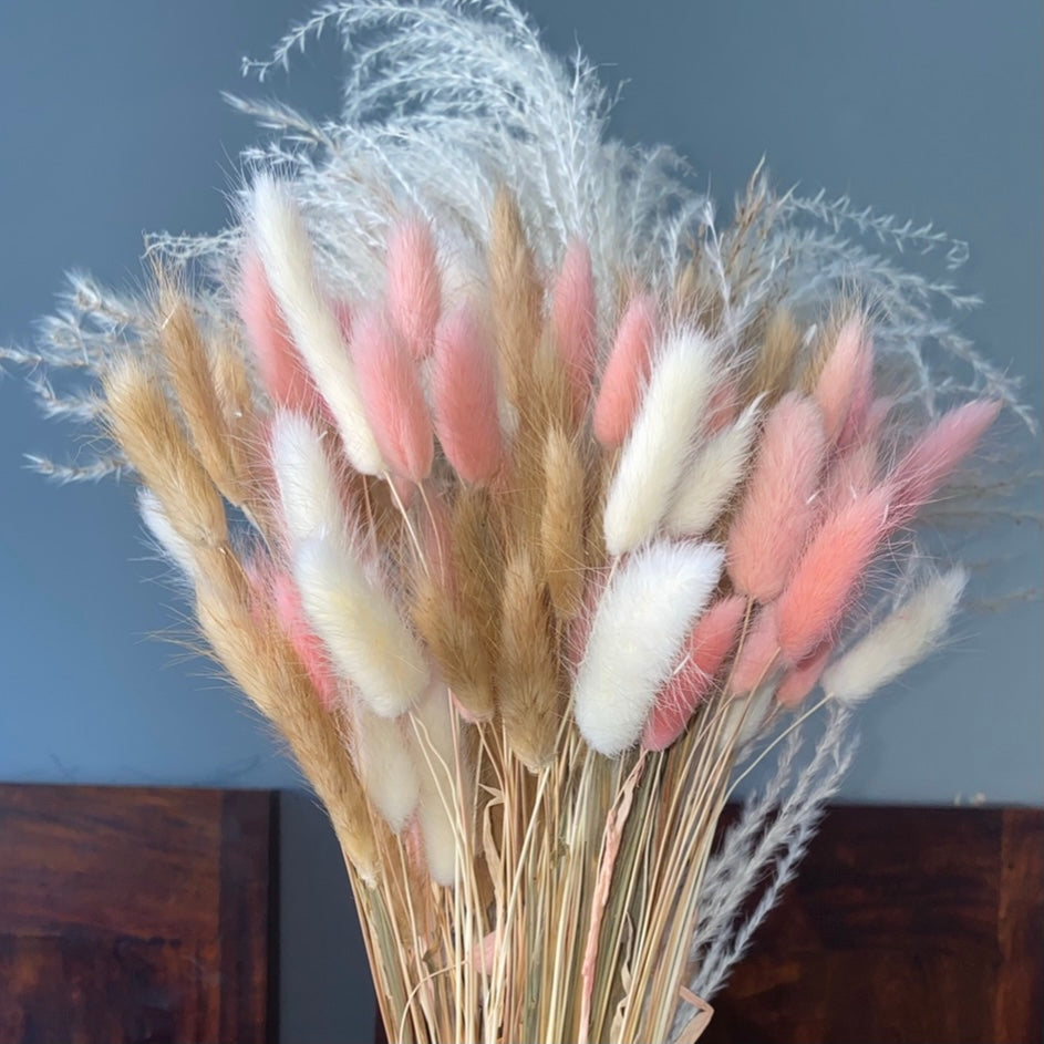 Cute โ ๐๐ช๐ท๐ญ๐ฒโ Mixed Pampas Bunny Tails