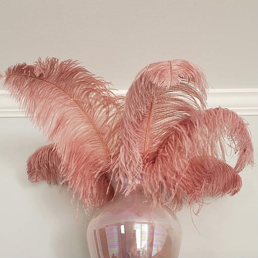 Fluffy ' ππ΅πΎπΌπ±' Ostrich Feather Bouquet