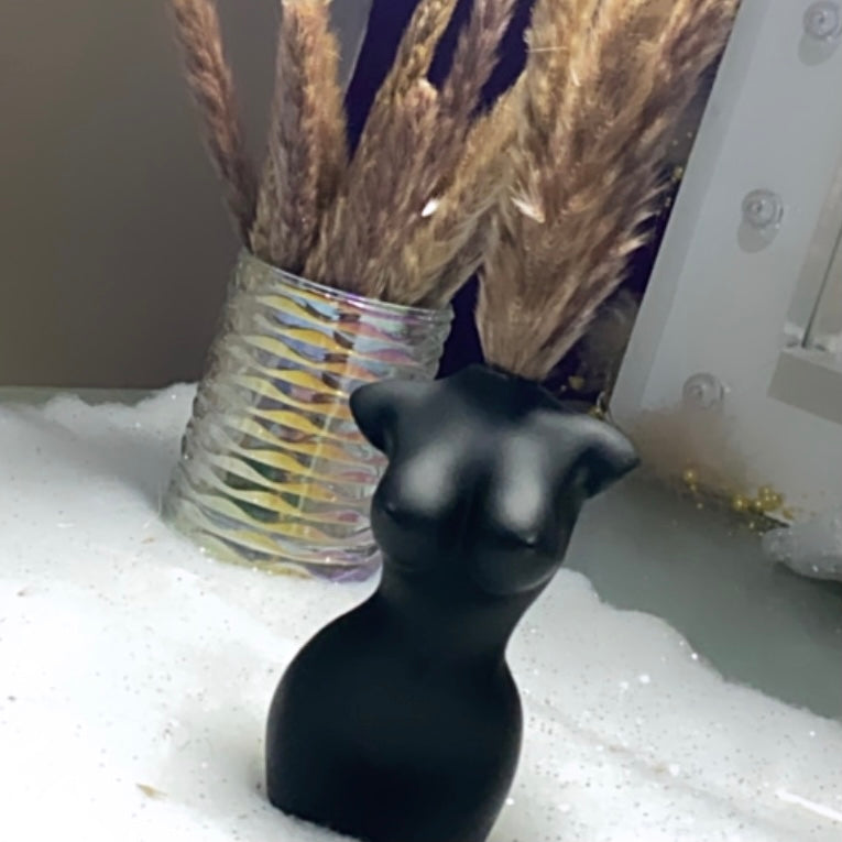 Seven Short Stem ‘𝓑𝓸𝓷𝓷𝔂’ Pampas Grass Stems