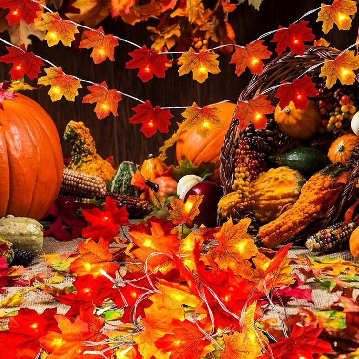 Autumn Maple Leaf Luxury MIA Lights