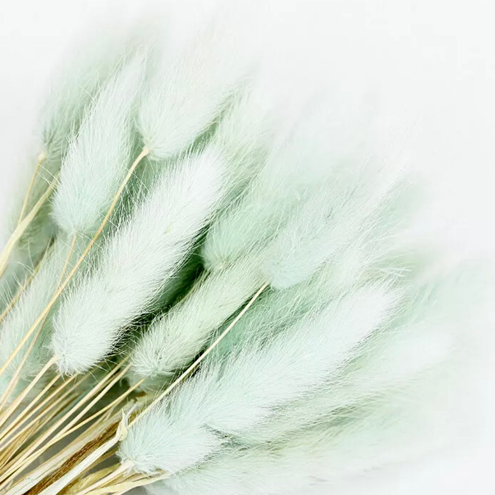 Mixed โ๐๐พ๐ซ๐ป๐ฎ๐โ Pampas Bunny Tail Trio